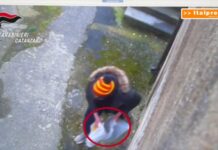Compravano la droga con il reddito di cittadinanza, 24 misure cautelari