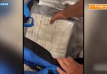 Polizia sequestra armi e 141 chili di droga a Torino, arrestato 26enne