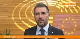 Energia, Borchia “L’Europa non ha lavorato su alternative praticabili”