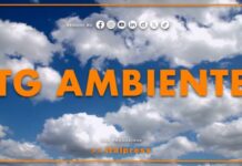 Tg Ambiente – 25/10/2026