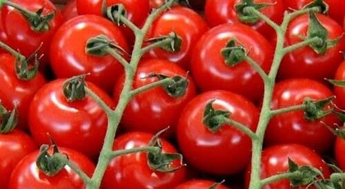 ciliegino pomodoro