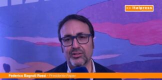 Pirateria, Bagnoli Rossi (FAPAV) “Promuovere l’offerta legale è fondamentale”