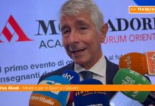 Figc, Abodi “Idea occupazione della politica caricatura ricorrente”