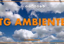 Tg Ambiente – 4/10/2026