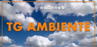 Tg Ambiente – 4/10/2026