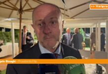 Figc, Binaghi “Commissario causa del commissariamento, Coni vale molto meno”