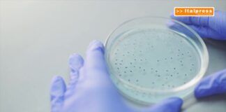 Nisticò (Aifa) “I farmaci sono sempre più innovativi e mirati”