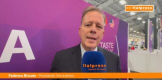 Bricolo “Il mercato statunitense strategico per il vino italiano”