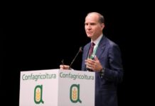 Massimiliano Giansanti confermato alla presidenza del COPA: guiderà gli agricoltori europei