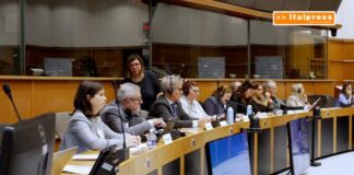 Lavoro domestico in Europa, oltre 10 milioni di occupati