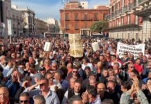 Olio d’oliva, Orgoglio Olivicolo al Ministero: “Attuare subito il DAO, la Spagna ci ha superato”