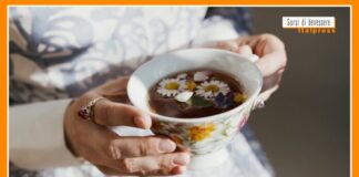 Sorsi di Benessere – Come si prepara la tisana di fiori di sambuco e camomilla