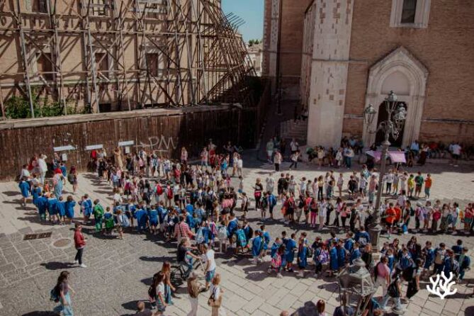Performance LUCERA COMSTAMPA