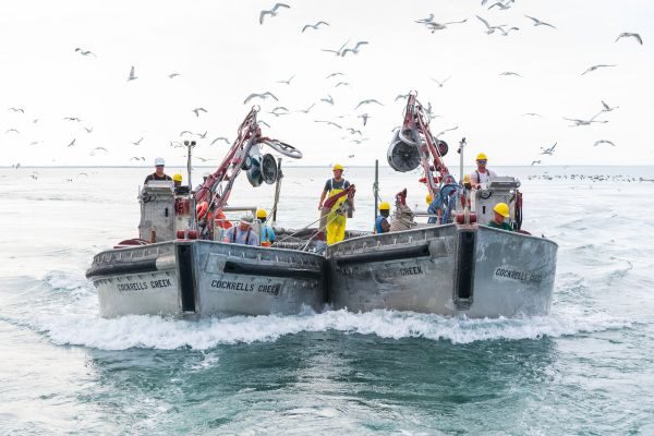 pesca sostenibile COMSTAMPA