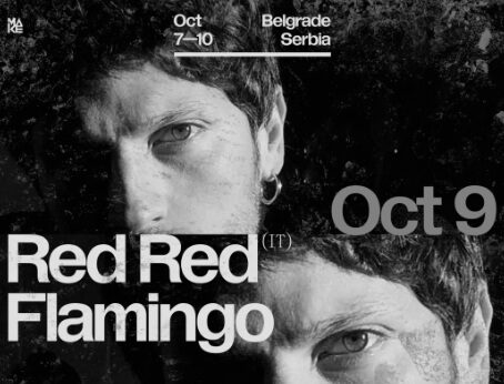 red red flamingo copertina progetto COMSTAMPA