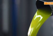 Olio d’oliva, arriva il documento digitale contro le frodi