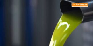 Olio d’oliva, arriva il documento digitale contro le frodi
