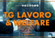 Tg Lavoro & Welfare – 15/10/2026