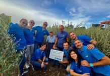Agricoltura, 1.500 ulivi consegnati ieri da Mapei agli agricoltori salentini
