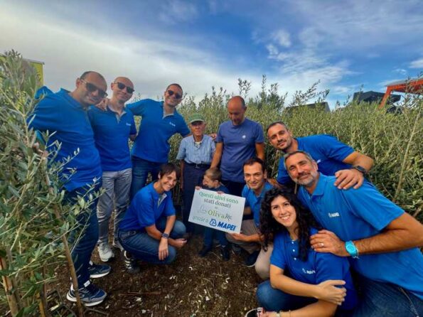 ulivi mapei salento COMSTAMPA