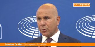 Ue, De Meo “Sull’energia non bastano i proclami”