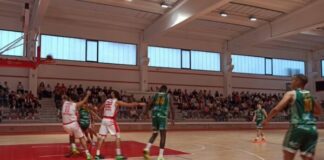 Basket: la White Wise lotta per tre quarti, poi Matelica scappa: finisce 82-67