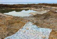 Arte e paesaggio a Brindisi: al PIC NIC parte “La Quinta Natura” con Jacqueline Ferrante