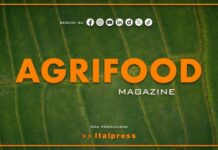 Agrifood Magazine – 14/10/2026