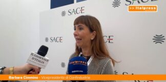 Export, Cimmino “Supportiamo le imprese in una fase di grandi cambiamenti”