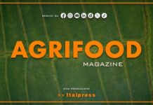Agrifood Magazine – 28/10/2026