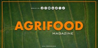 Agrifood Magazine – 28/10/2026